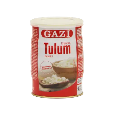 Gazi Tulum sýr