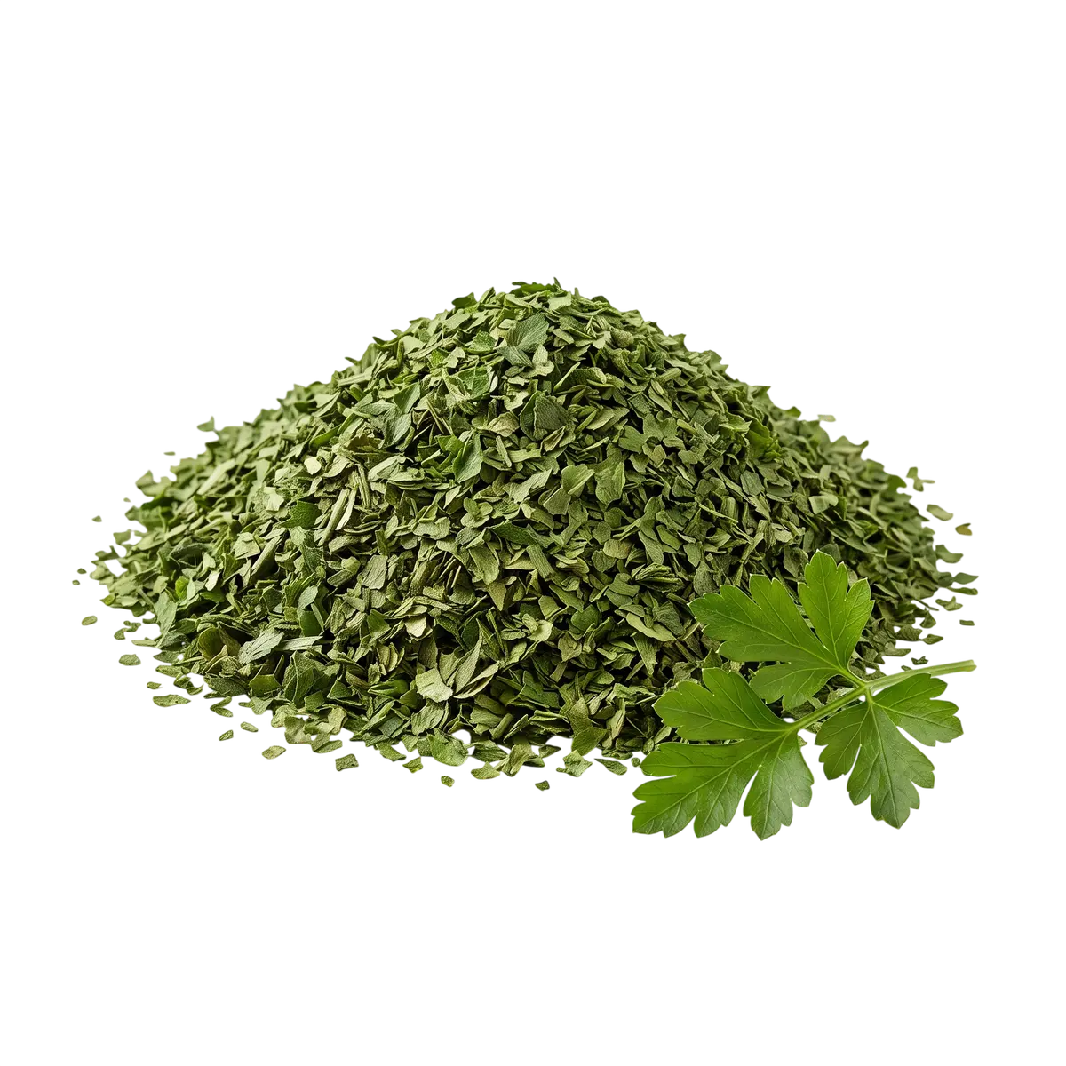 Petržel