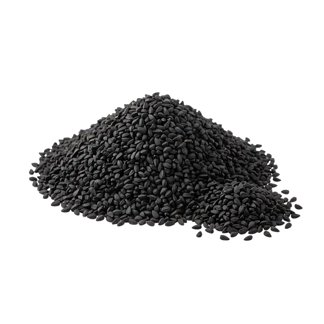 Černucha setá / çörekotu