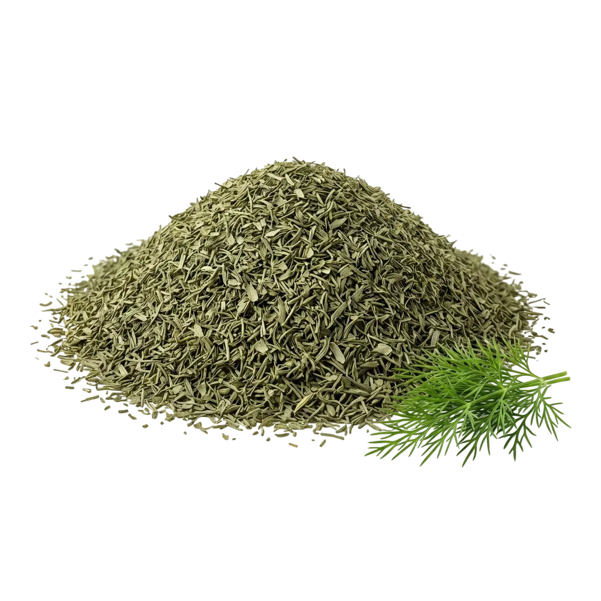Kopr